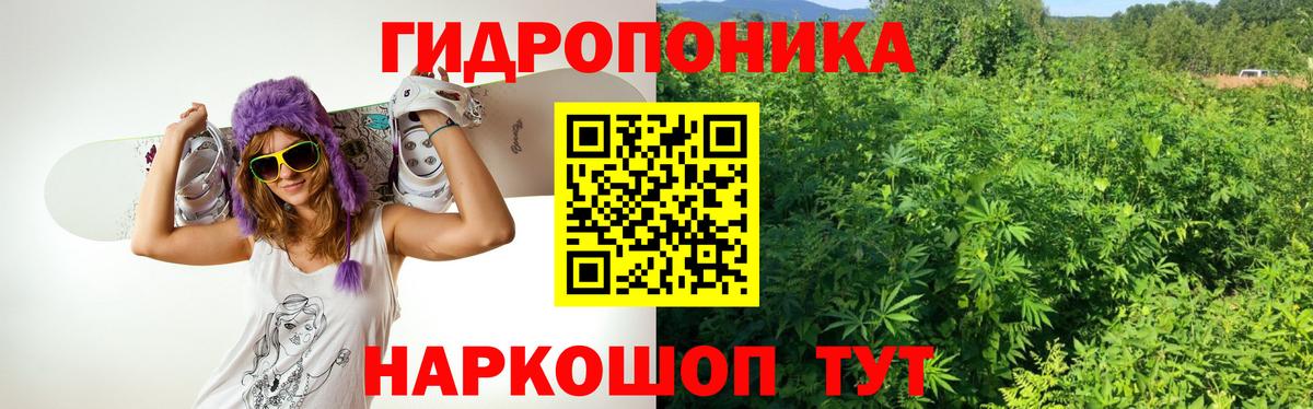 Бошки марихуана тримм  Конопля гибрид  Вход с VPN  Феодосия  Конопля сатива  Бошки Шишки MAZAR 